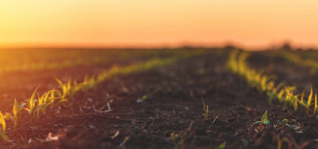 Fórum de Fertilizantes da Matriz Orgânica