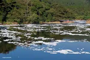 Poluição Rio Tietê