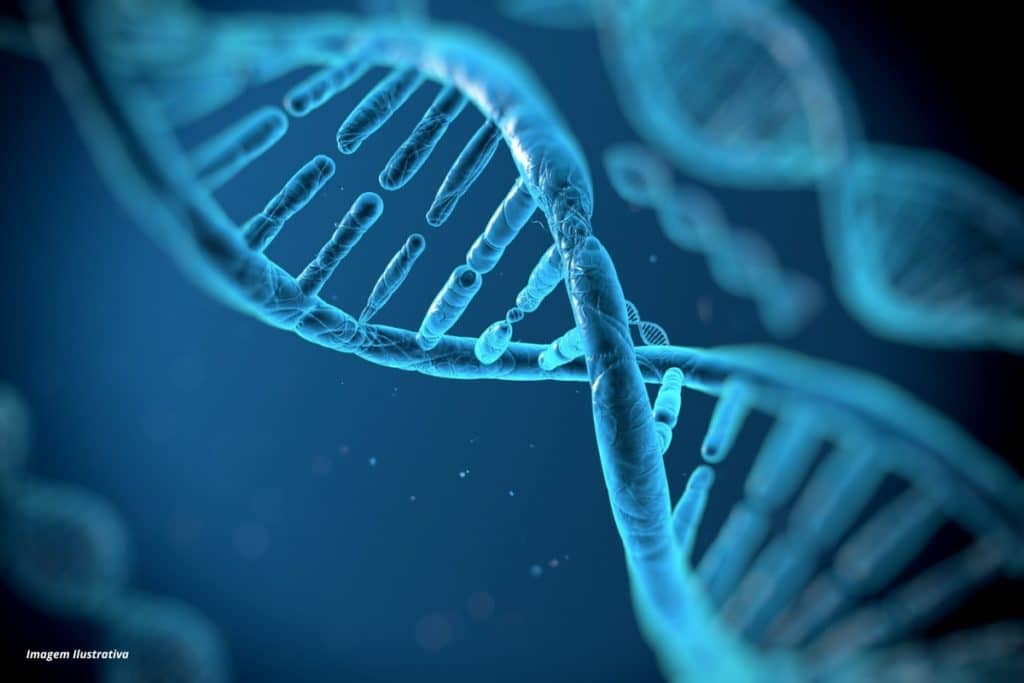 Biologia e Informática aliadas
