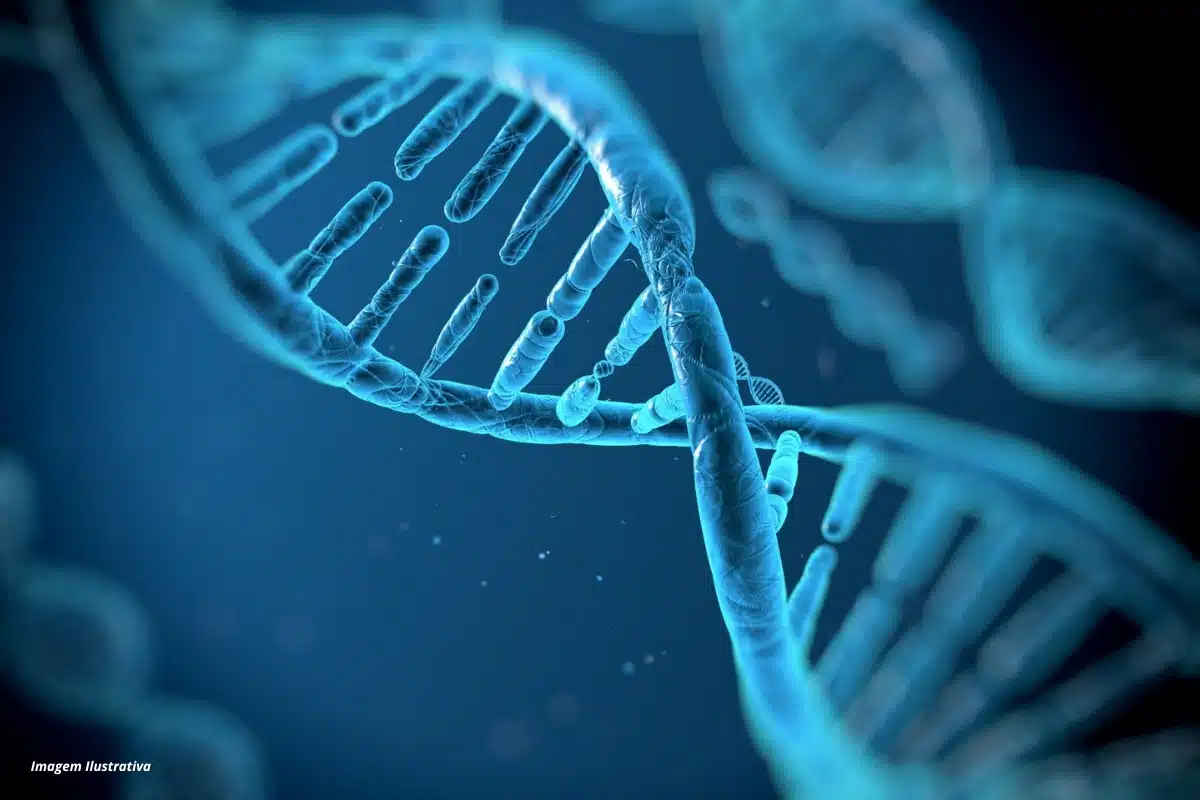 Biologia e Informática aliadas