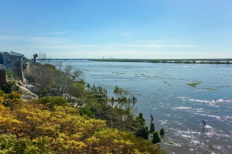Frigorífico esgoto no Rio Paraná