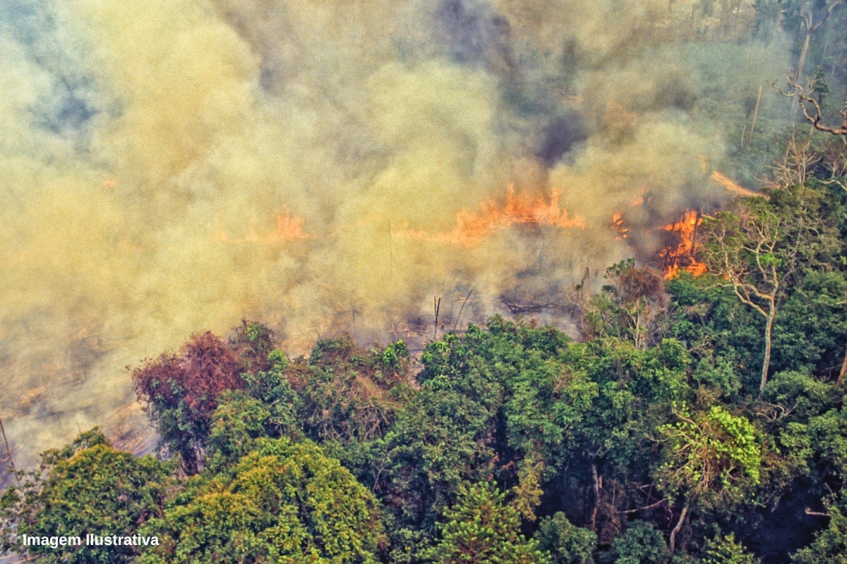 COP 28 Poluição Amazônia