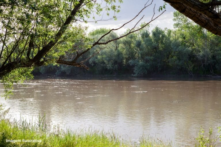 Comitê da Bacia do Rio Pardo