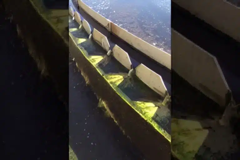ETE Pato Branco para a Sanepar