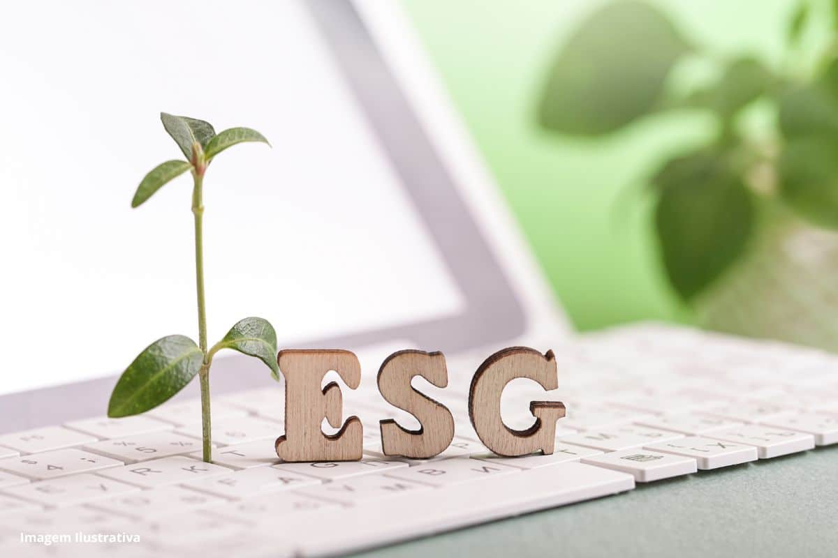 Leia mais sobre o artigo Análise das prioridades na agenda ESG das organizações listadas no índice IEEX da B3