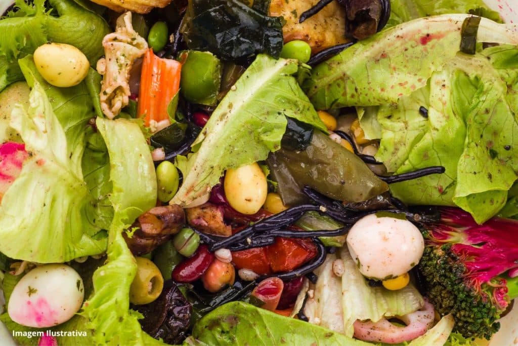 Compostagem Resíduos Orgânicos França