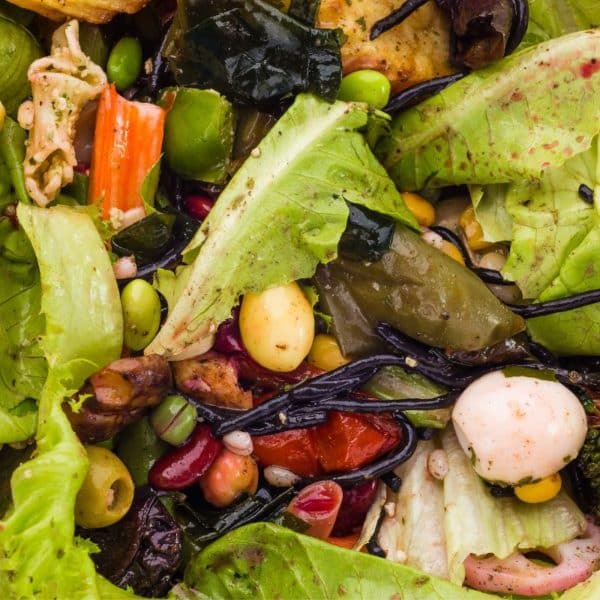 Compostagem Resíduos Orgânicos França