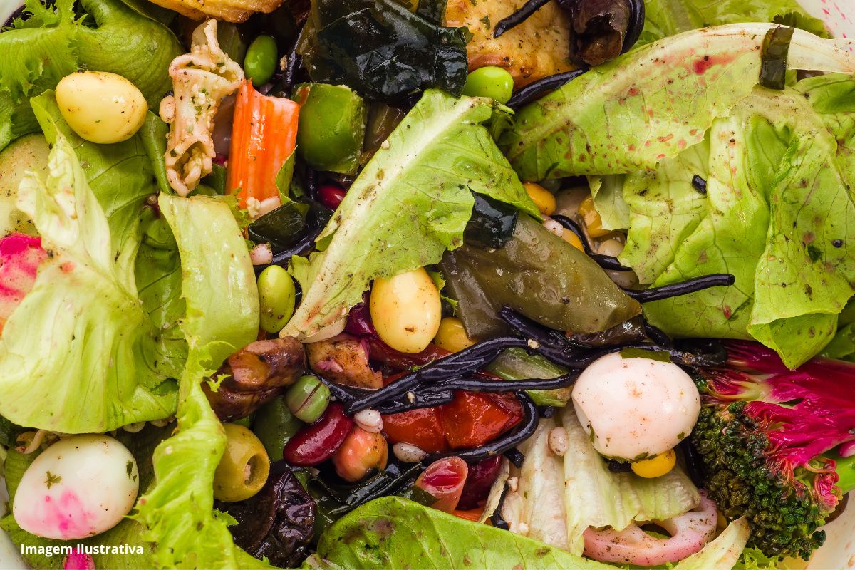 Leia mais sobre o artigo França implementa ‘compostagem obrigatória’ em todo o país