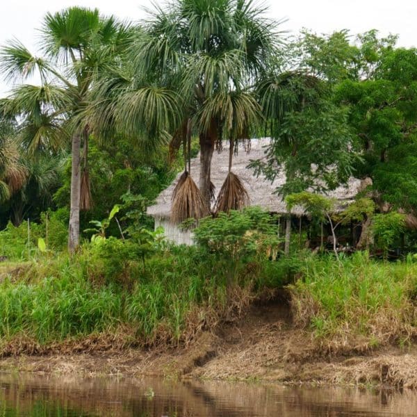 Salubridade Ambiental Amazônia