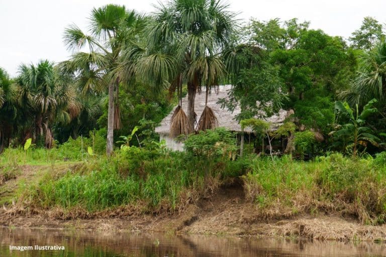 Salubridade Ambiental Amazônia