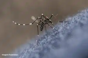 Brasil Dengue Saneamento