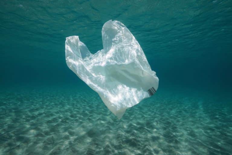 Lixo nos Oceanos
