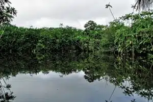 Qualidade Água Mata Atlântica