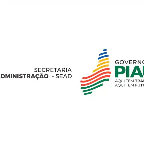 Governo PI Concessão