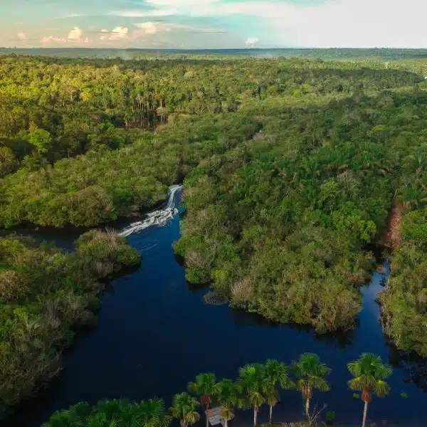 BID Investimento Amazônia