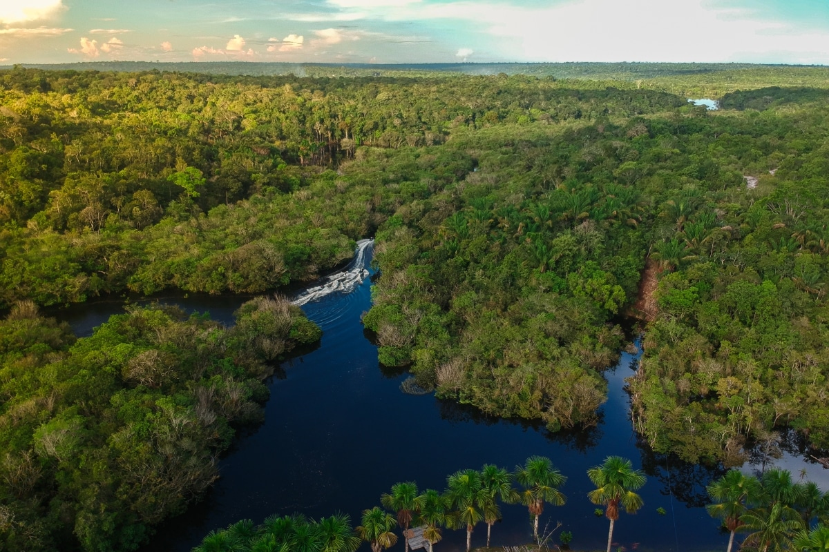 BID Investimento Amazônia