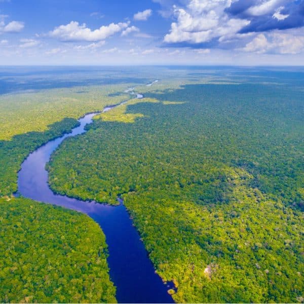 Plástico e microplástico na Amazônia