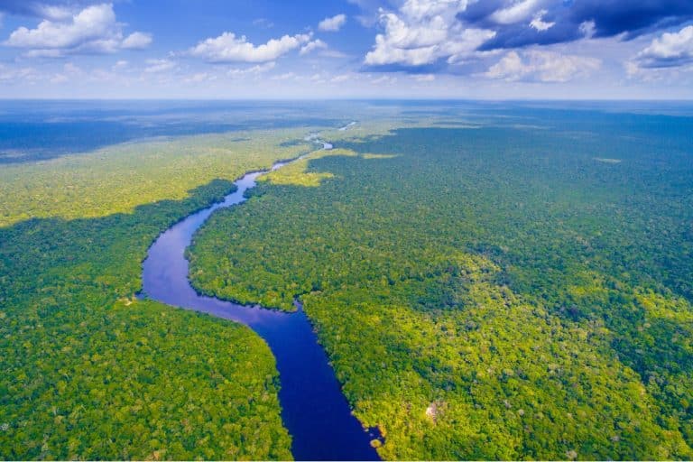 Plástico e microplástico na Amazônia