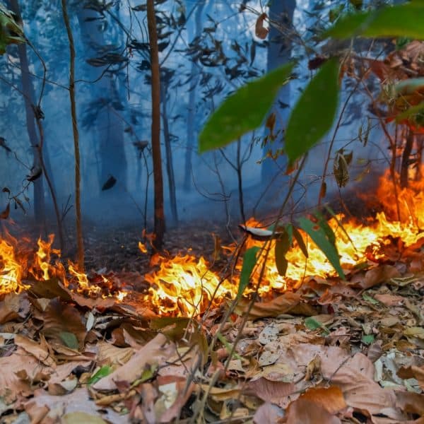 Estiagem Amazônia
