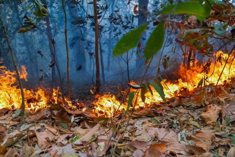 Estiagem Amazônia