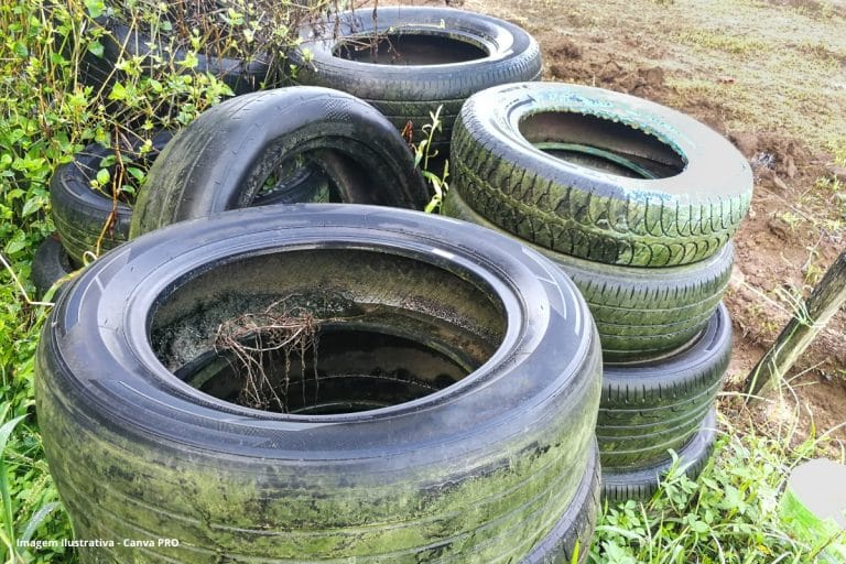 Estudo Dengue Saneamento Básico