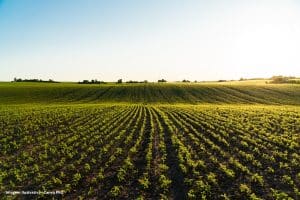 Efeito Estufa Agricultura Inteligente