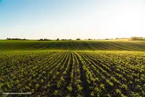 Efeito Estufa Agricultura Inteligente