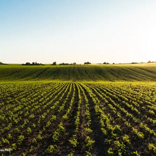 Efeito Estufa Agricultura Inteligente