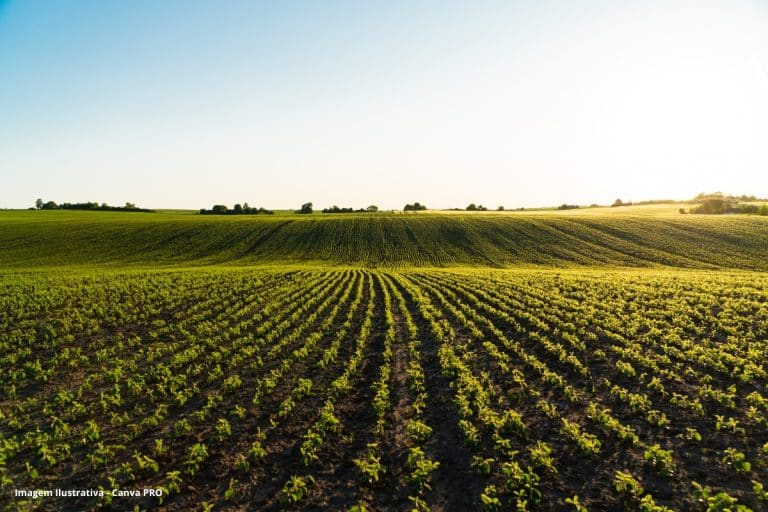 Efeito Estufa Agricultura Inteligente