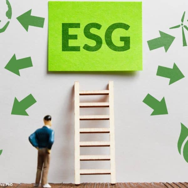 Metas Lucro ESG