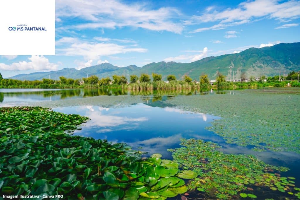 MS Pantanal Saneamento Básico