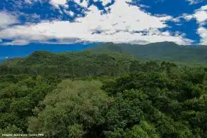 Prefeitura SP Aterro Sanitário