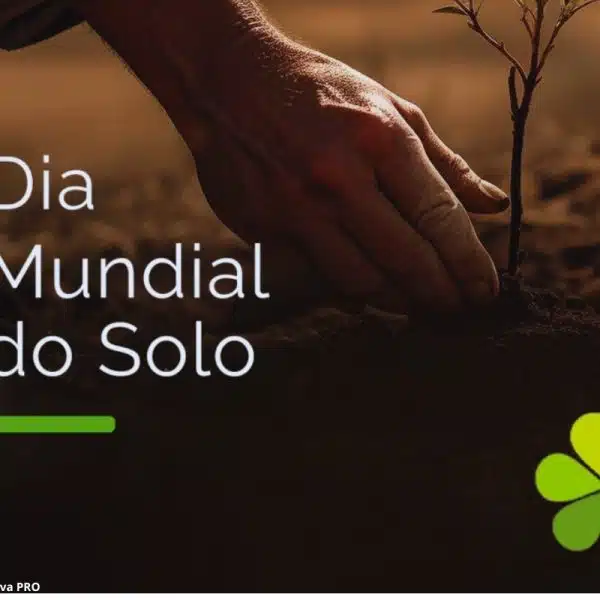 Dia Mundial Solo