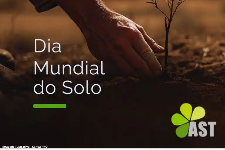 Dia Mundial Solo