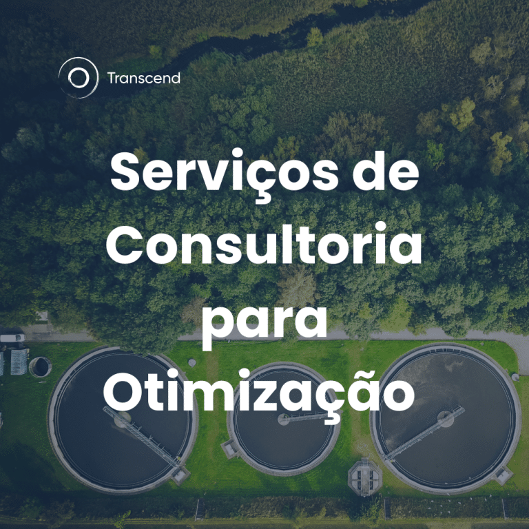 Serviços de Consultoria para Otimização