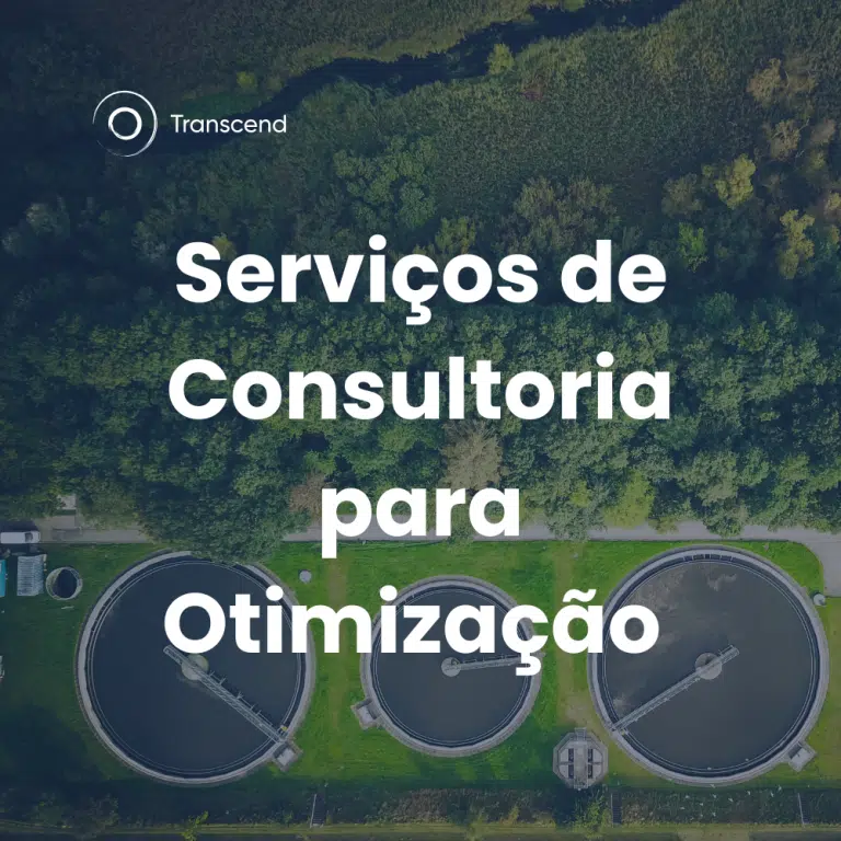 Serviços de Consultoria para Otimização