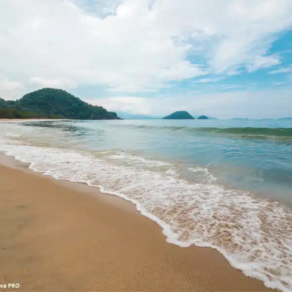 Surto Litoral Saneamento Precário