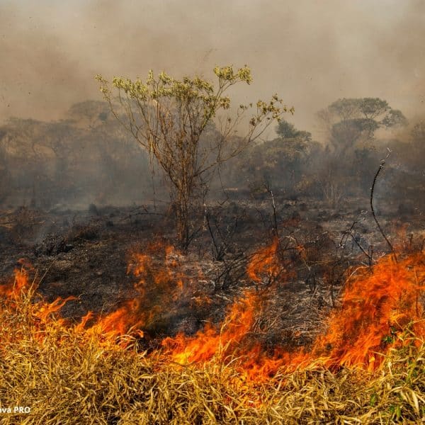Saneamento Básico Crise Climática