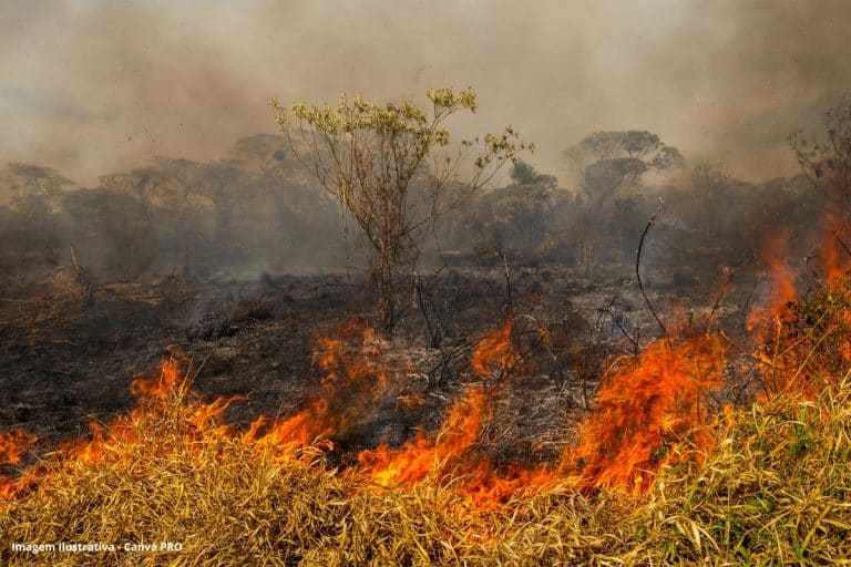 Saneamento Básico Crise Climática
