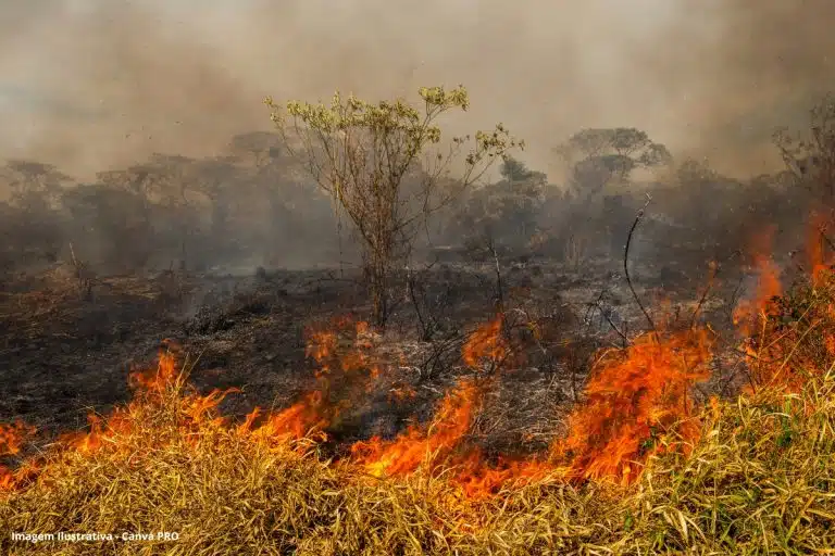 Saneamento Básico Crise Climática