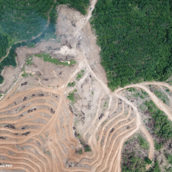 Aterro Sanitário Mata Atlântica