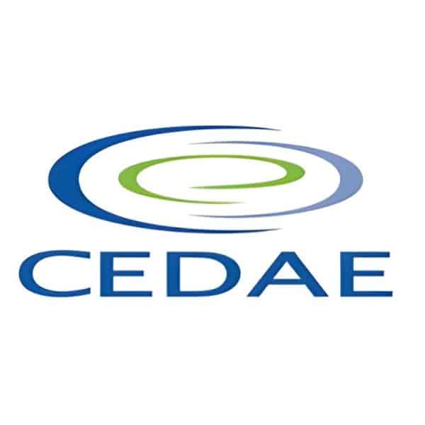 Cedae Modelagem Futuro Negócio