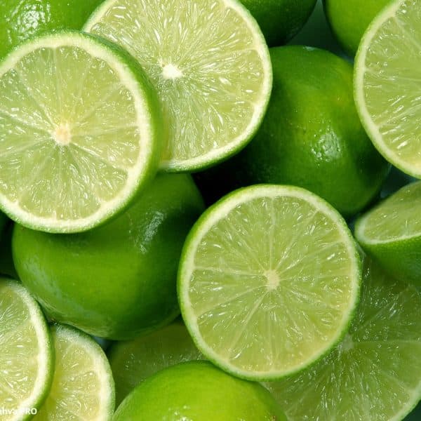 Brasil Biogás Resíduos Cítricos