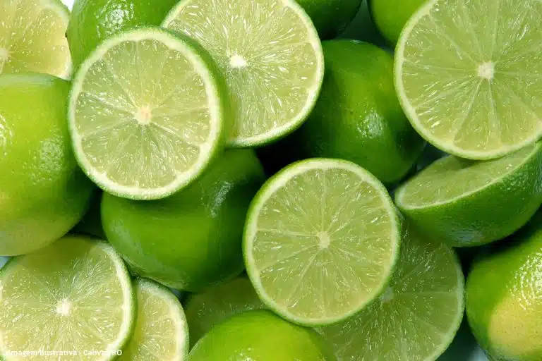 Brasil Biogás Resíduos Cítricos