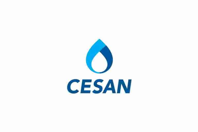 Leilão Cesan Multinacionais Estado