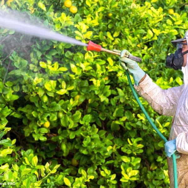 Agrotóxico Produção Biogás
