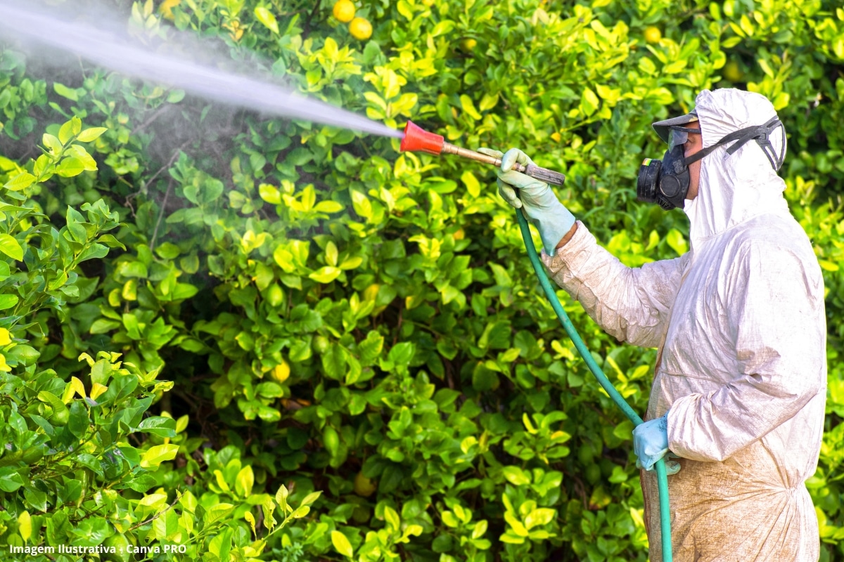 Agrotóxico Produção Biogás
