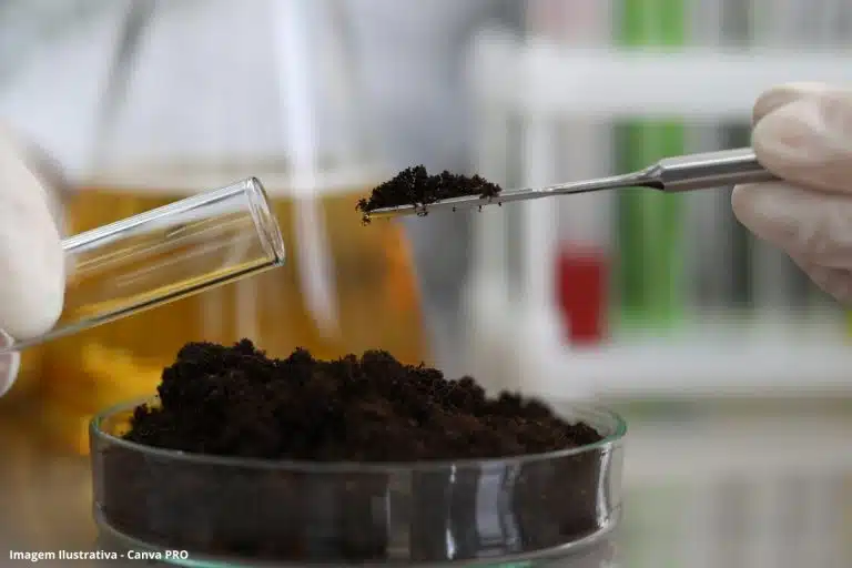 Análise Contaminantes Solo