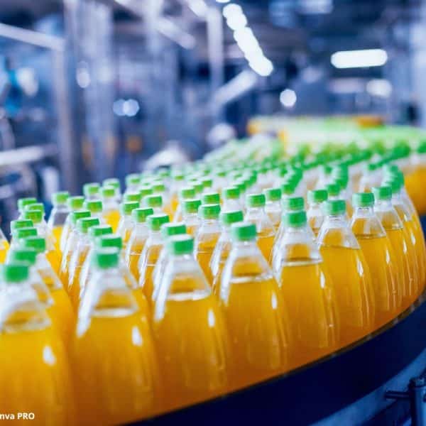 NETZSCH Produção Empresa