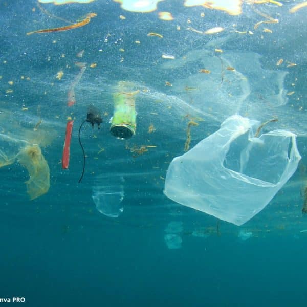 Impactos Plástico Oceanos